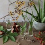 Obat herbal untuk wasir dengan berbagai tanaman herbal alami
